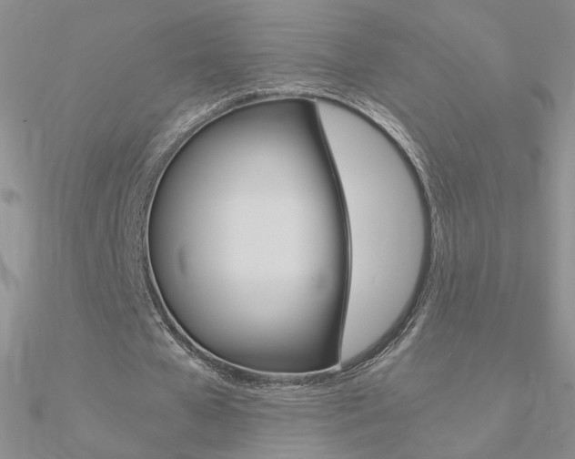 X0000090960577200708021123