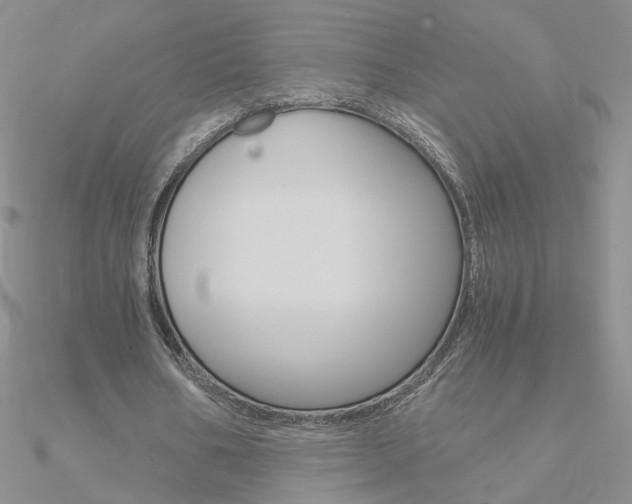 X0000090960578200708021123