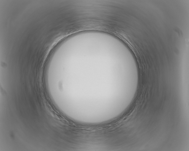 X0000090960579200708021123