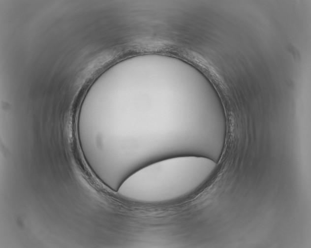 X0000090960582200708021123
