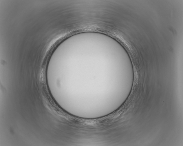 X0000090960583200708021123
