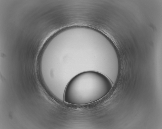 X0000090960584200708021123