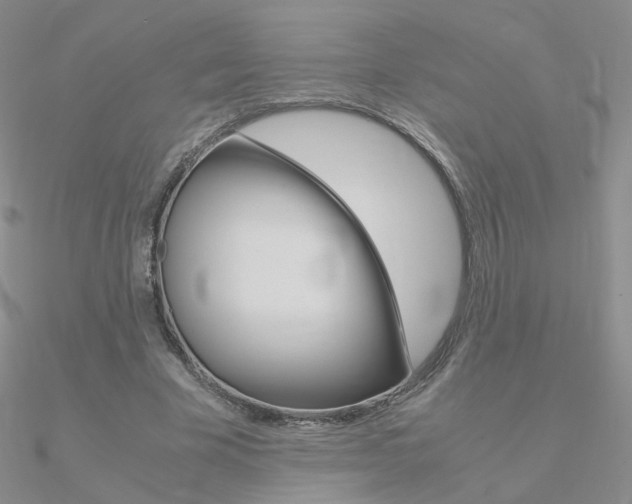 X0000090960585200708021123
