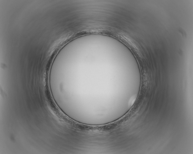 X0000090960586200708021123