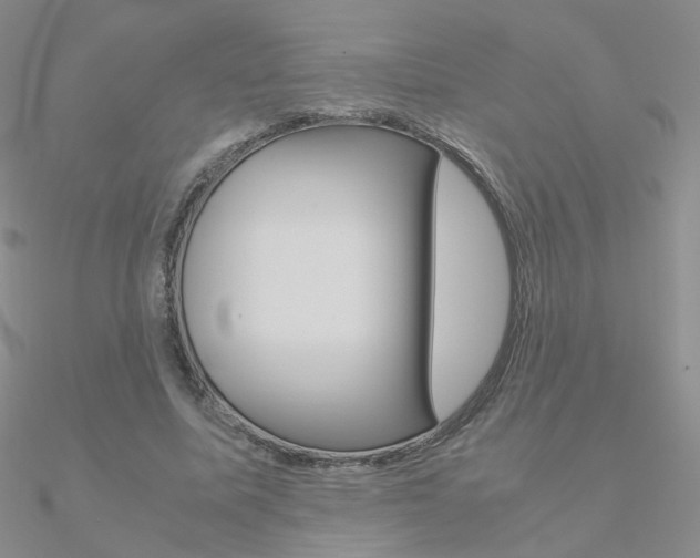 X0000090960587200708021123