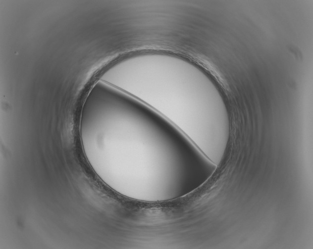 X0000090960588200708021123