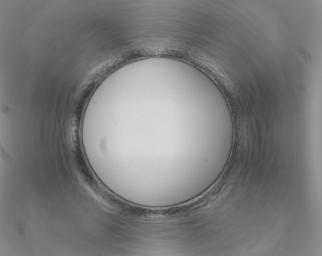 X0000090960590200708021123