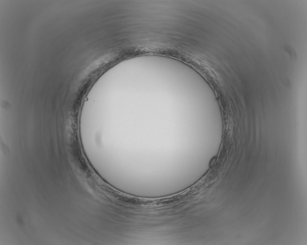 X0000090960591200708021123