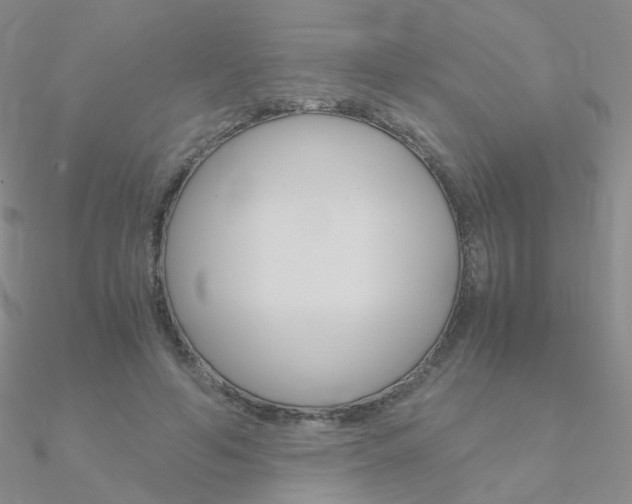 X0000090960594200708021123