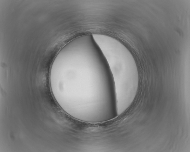 X0000090960595200708021123