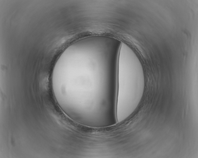X0000090960596200708021123