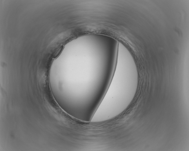 X0000090960597200708021123