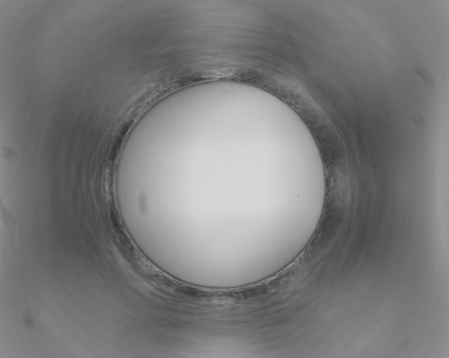 X0000090960598200708021123