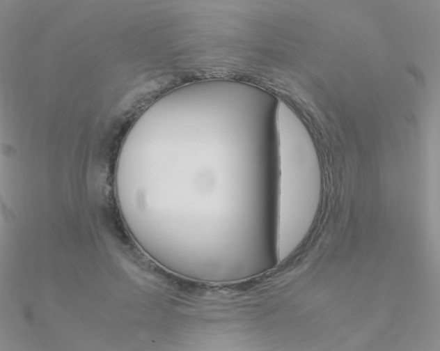 X0000090960599200708021123