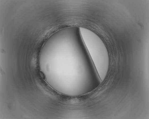 X0000090960600200708021123