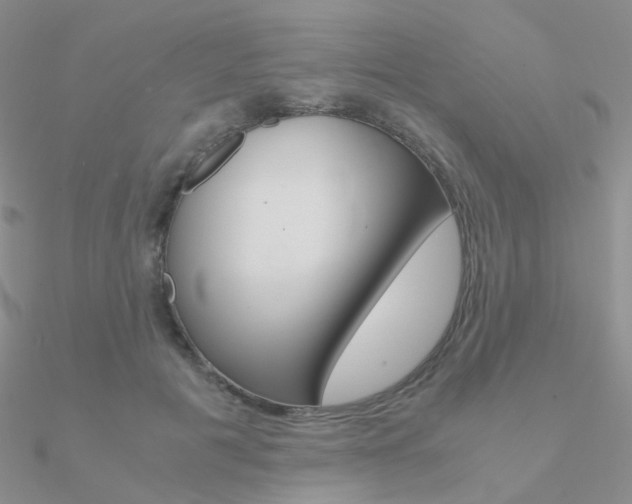 X0000090960601200708021123