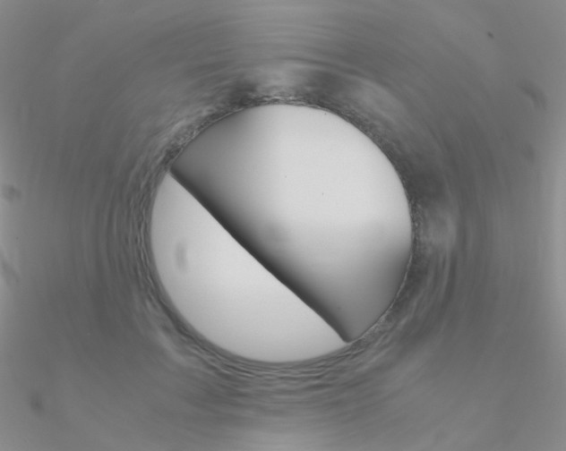X0000090960603200708021123