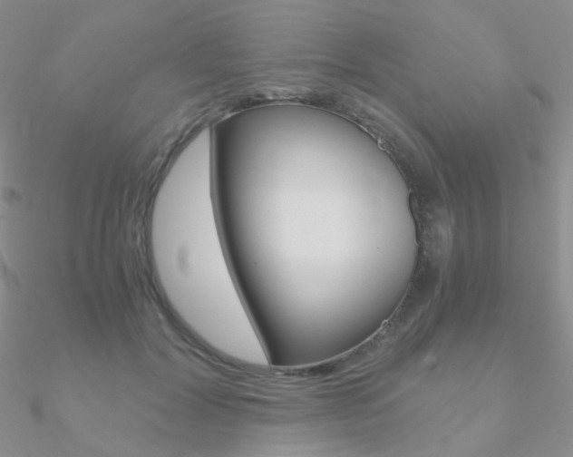 X0000090960604200708021123