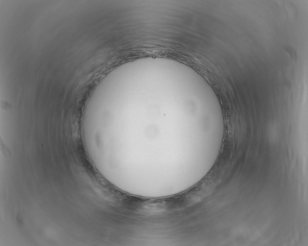 X0000090960606200708021123