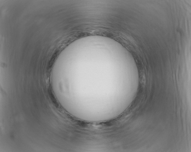 X0000090960607200708021123