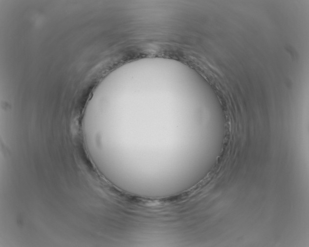 X0000090960611200708021123