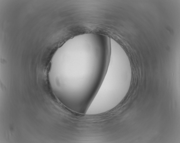 X0000090960613200708021123