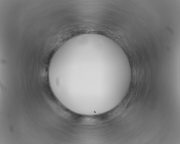 X0000090960614200708021123