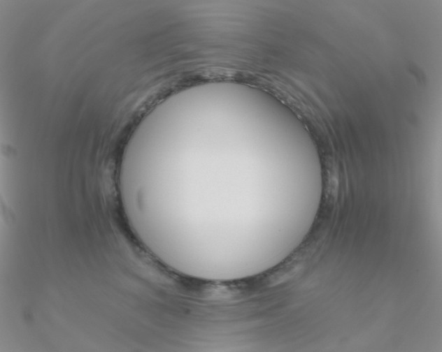 X0000090960616200708021123