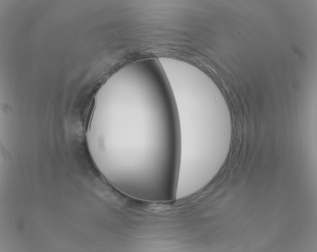 X0000090960617200708021123