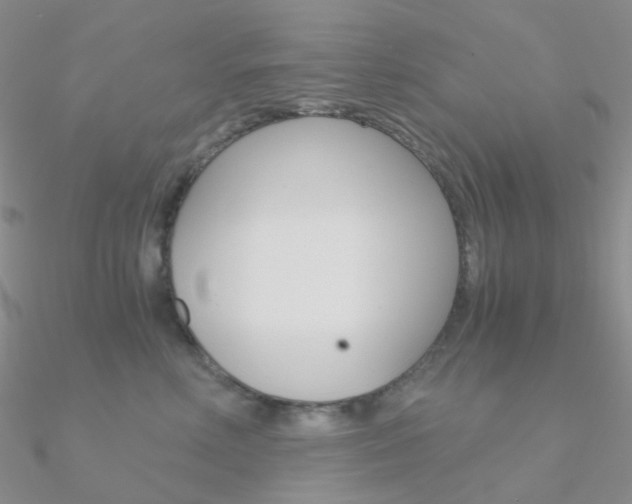 X0000090960618200708021123