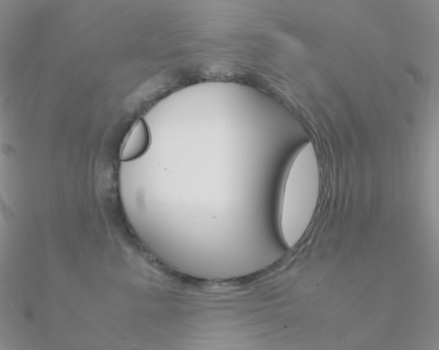 X0000090960619200708021123