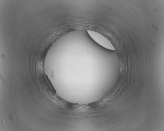 X0000090960621200708021123