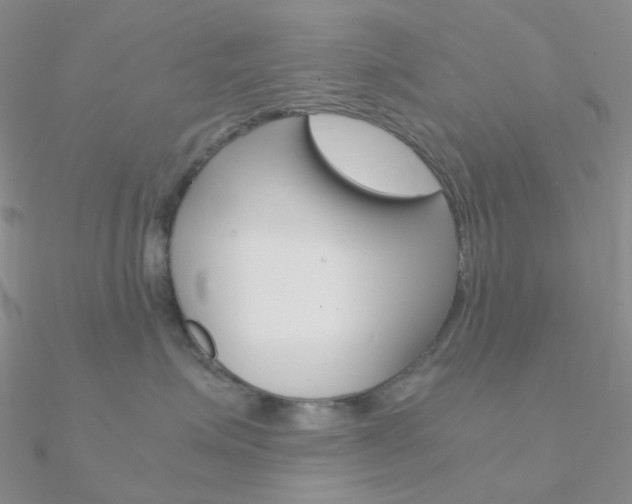 X0000090960623200708021123