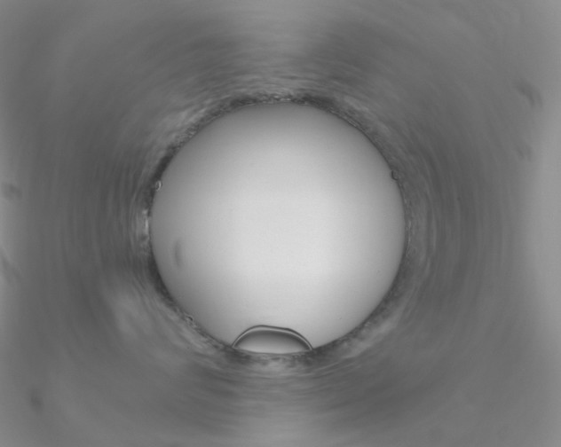X0000090960624200708021123