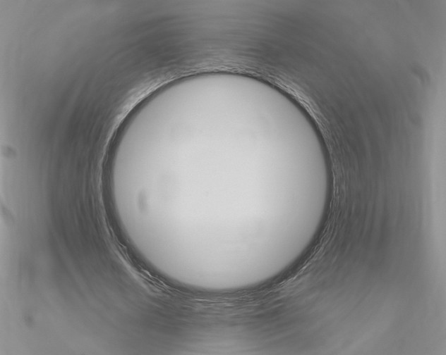 X0000090960626200708021122