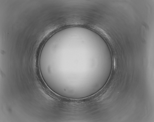 X0000090960627200708021122