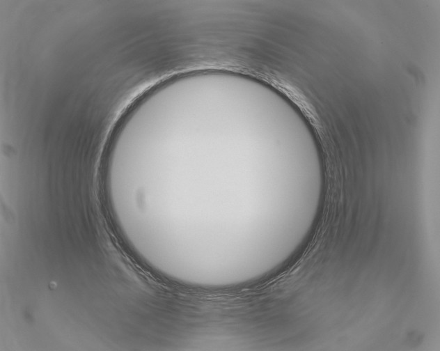 X0000090960628200708021122