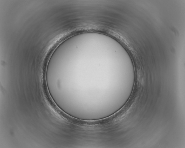 X0000090960629200708021122