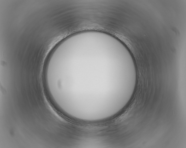 X0000090960630200708021122