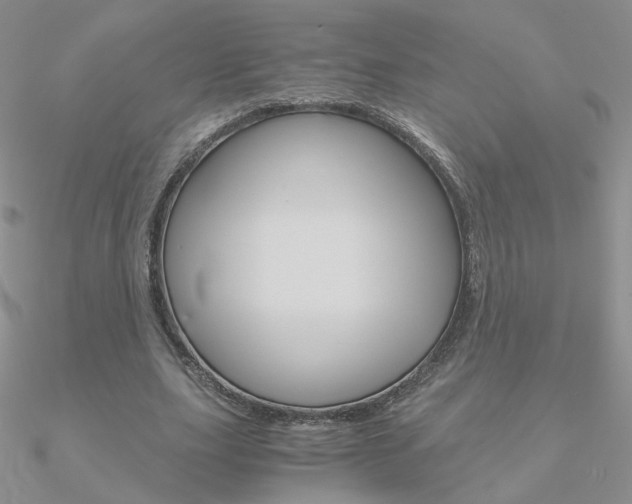 X0000090960631200708021122