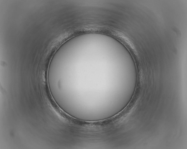 X0000090960633200708021122