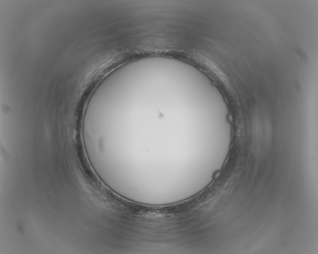 X0000090960635200708021122