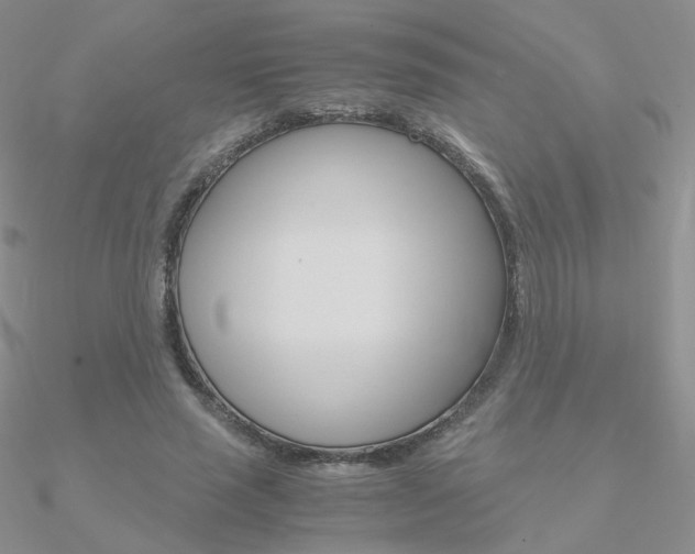 X0000090960637200708021122
