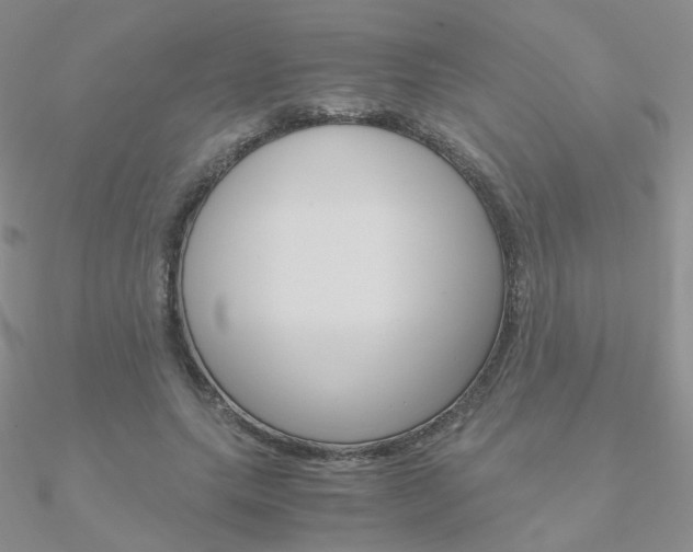 X0000090960639200708021122