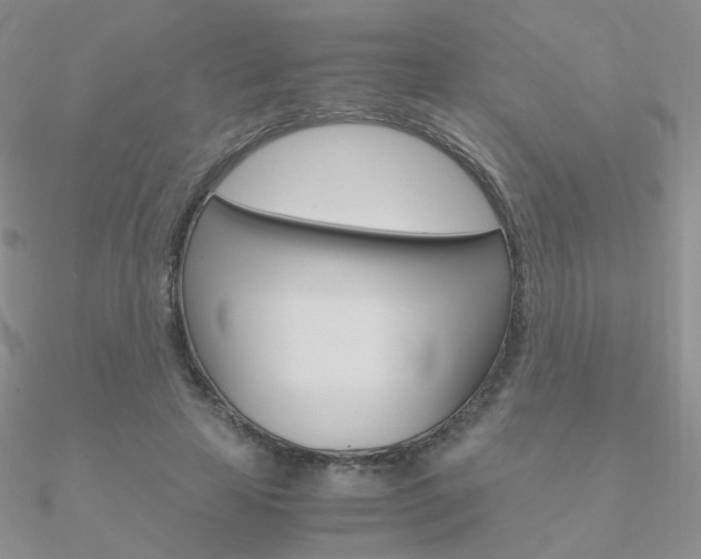 X0000090960641200708021122