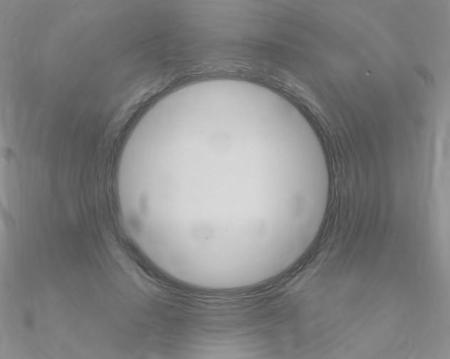 X0000090960644200708021122