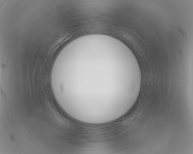 X0000090960648200708021122