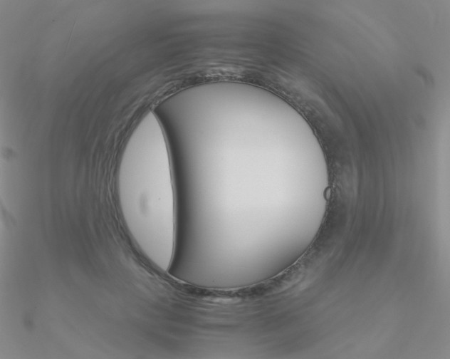 X0000090960649200708021122