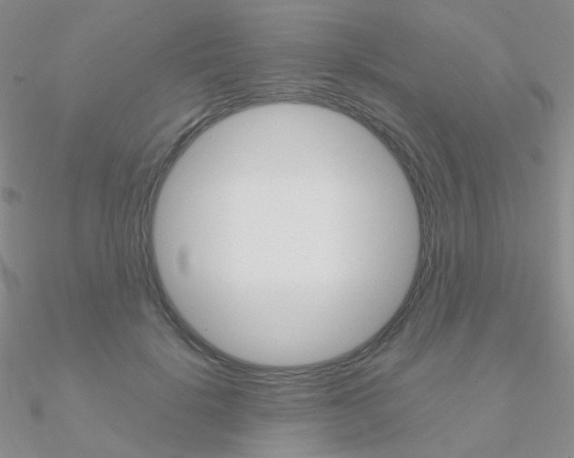 X0000090960652200708021122