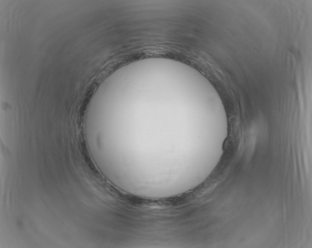 X0000090960655200708021122